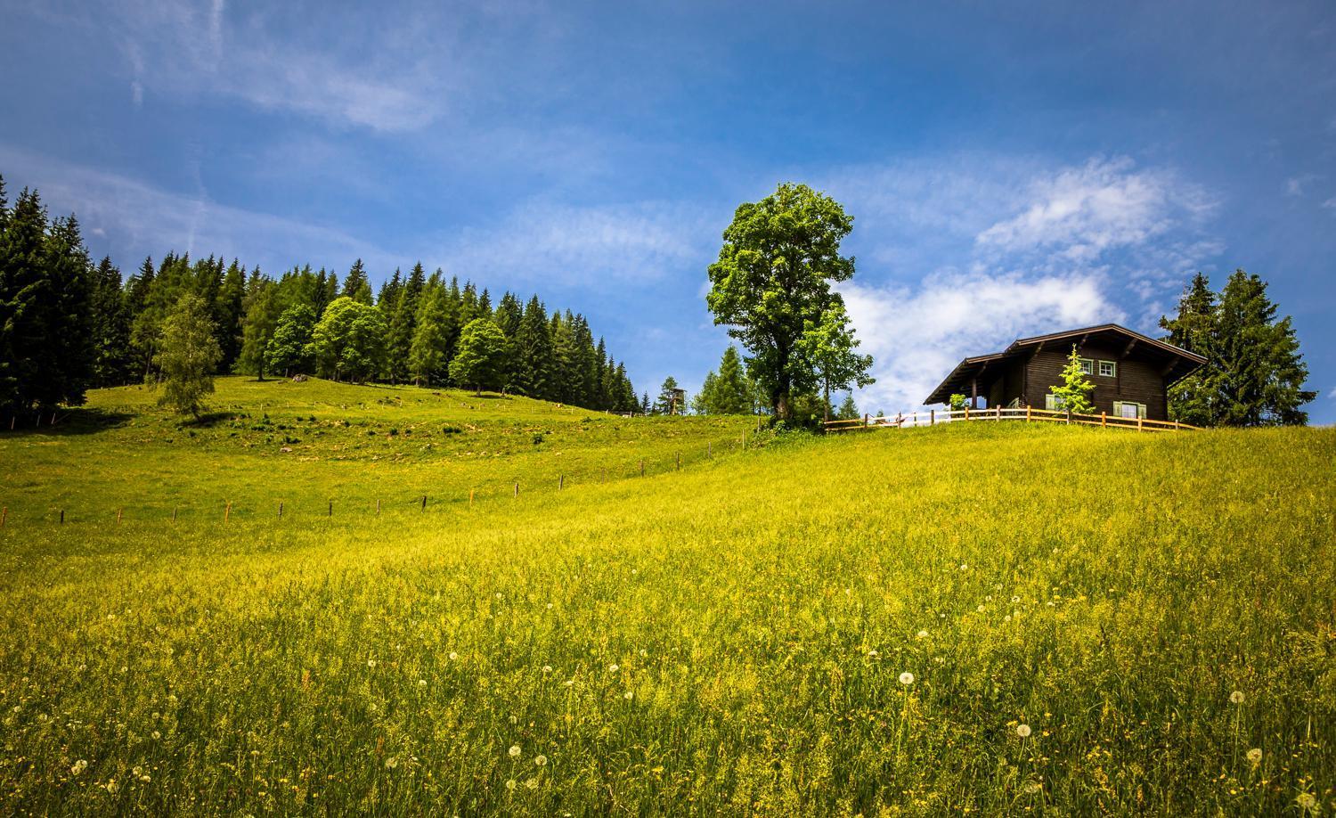 Bauernhof Auhof Daire Wagrain Dış mekan fotoğraf